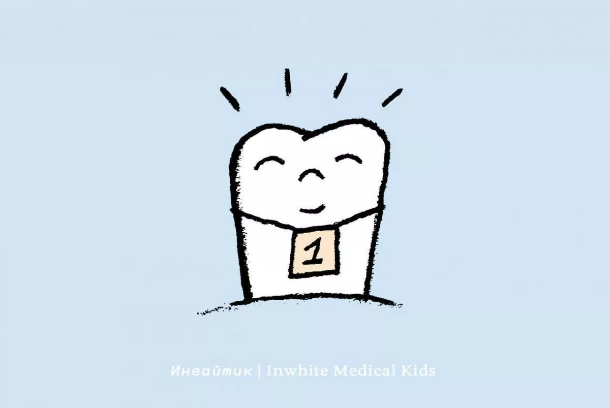 У ребёнка прорезались первые постоянные моляры. Что нужно знать?