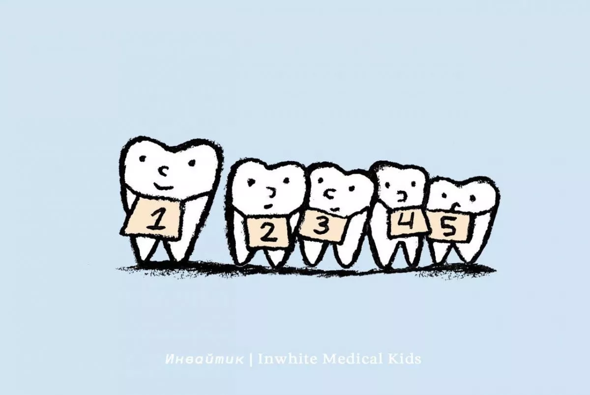 Когда начинают меняться молочные зубы?