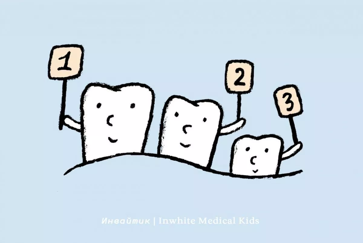 Когда начинают прорезываться постоянные зубы?