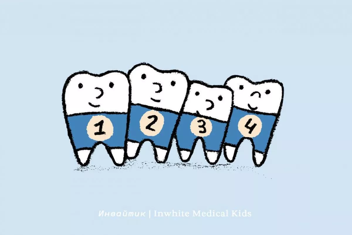 Памятка: когда начинают меняться молочные зубы?