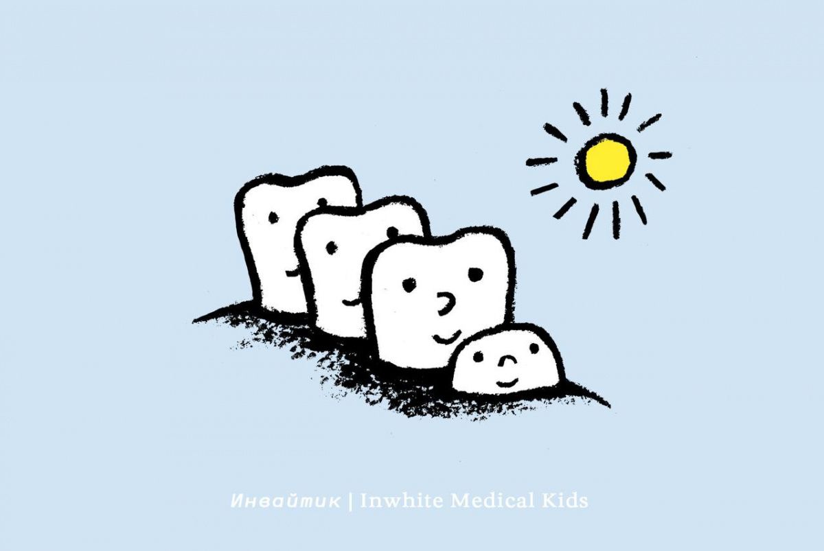 Когда у ребёнка прорезываются первые постоянные моляры и как их можно защитить от кариеса?