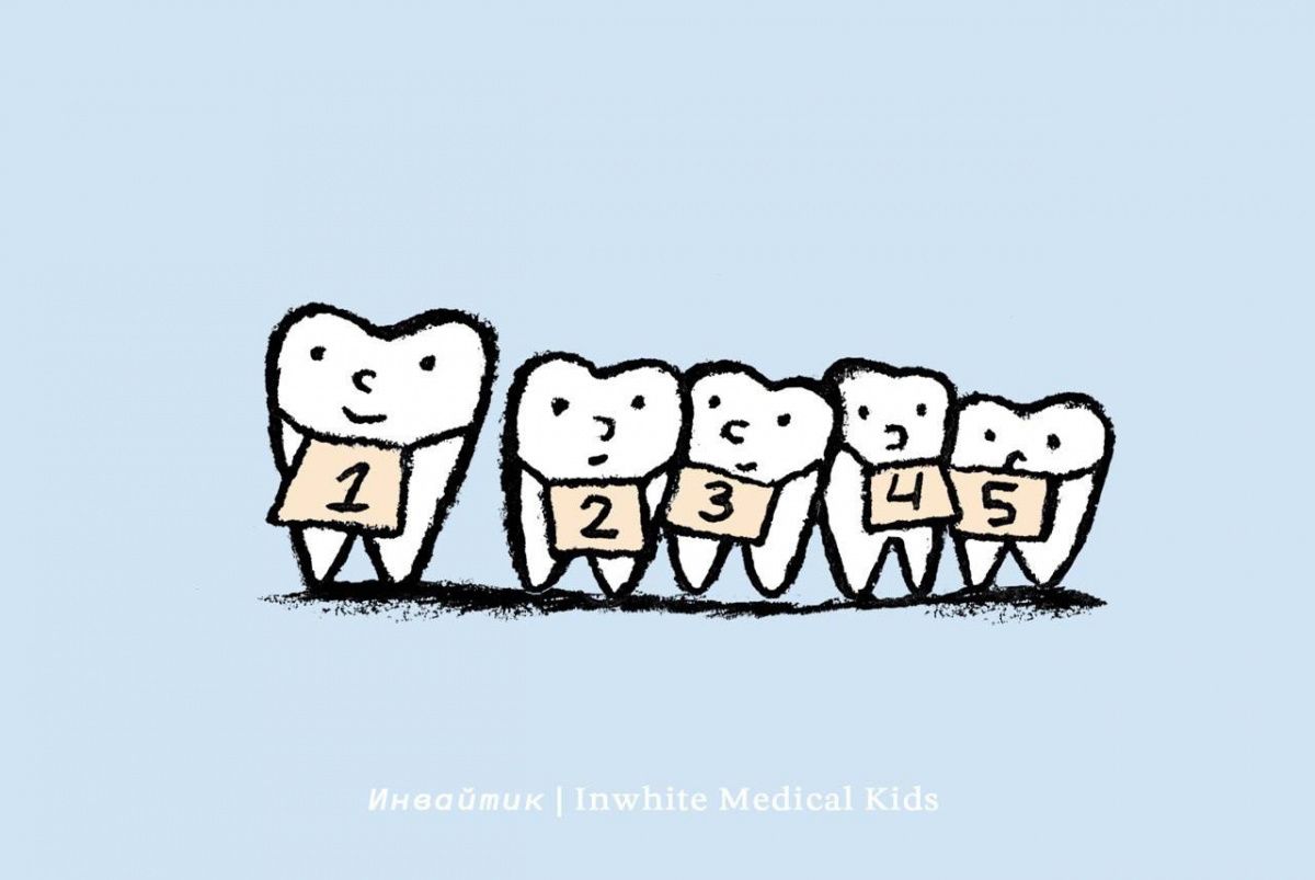 Когда начинают меняться молочные зубы?