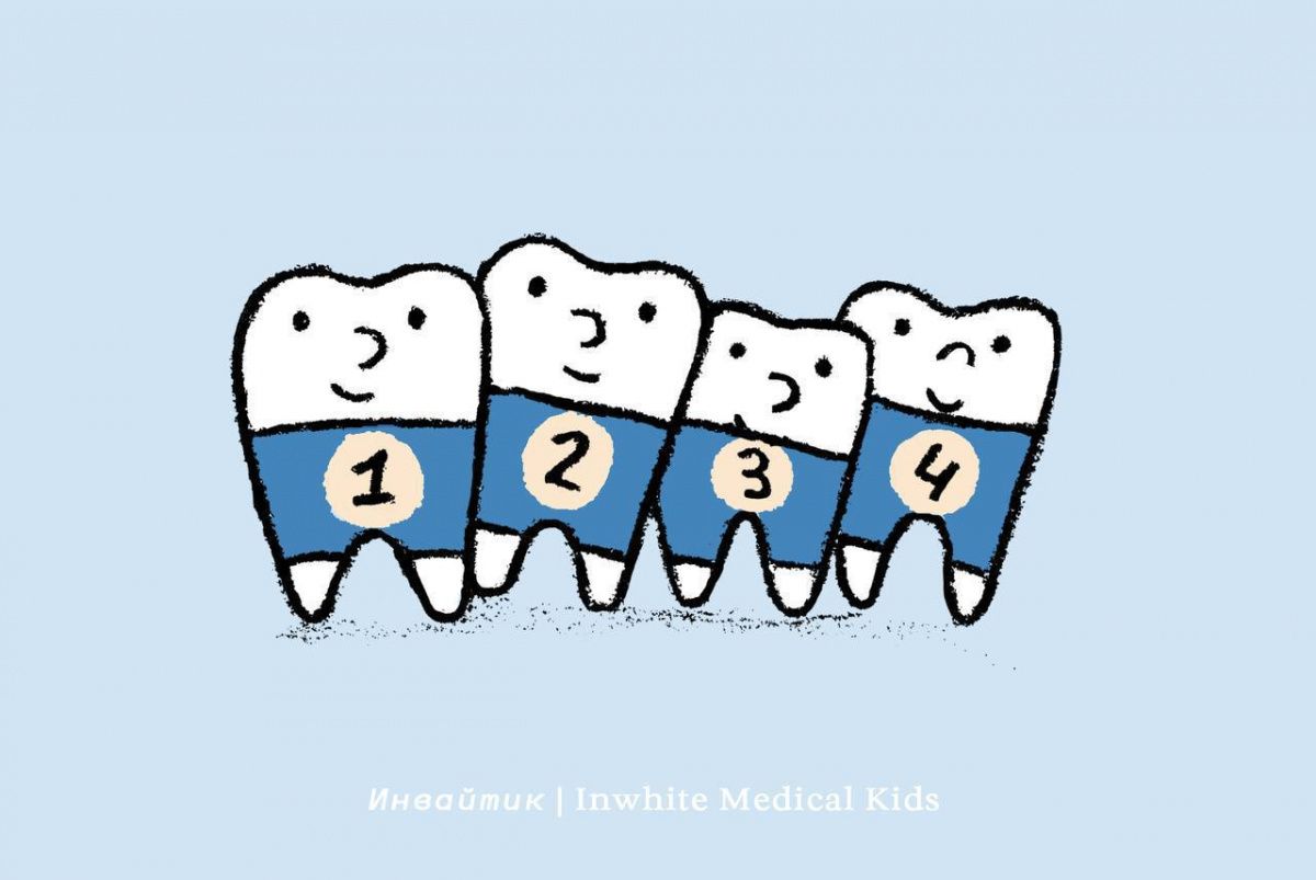 Памятка: когда начинают меняться молочные зубы?